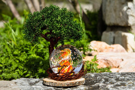 Ponderosa Tree Of Life with Burning Bush Bubble Flame Orb