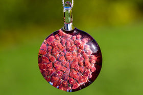 Pink Coral Circle Pendant with Infused Cremation Ash