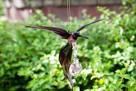 Hummingbird Figurine with Silver Keepsake for Ashes Multiple Colors Available
