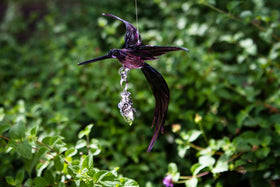 Hummingbird Figurine with Silver Keepsake for Ashes Multiple Colors Available