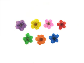 Flower Stud Earrings with Cremation Ash