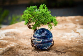 Poderosa Tree Of Life Memorial Upgrade