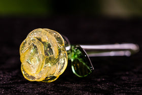 Ashes in Glass Rose