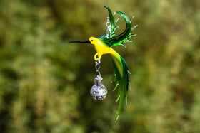 bee-eater-bird-with-silver-keepsake-for-ashes