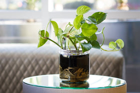 ashes into glass memorial planters