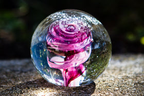 Butterfly Snowfall Orb with Cremation Ash