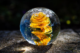 Butterfly Snowfall Orb with Cremation Ash