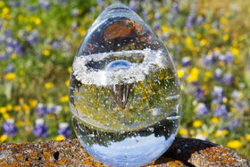 Clear Bubble Veiled Memorial Egg Paperweight with Ash in Glass