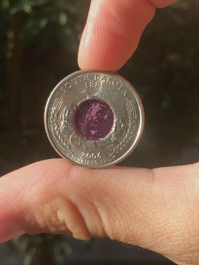 Memorial Quarter Coin