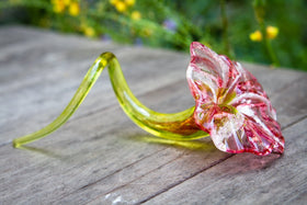 curly-stem-memorial-glass-flower-with-infused-ashes-from-people-and-pets