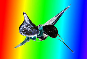 Custom Color Hummingbird with Infused Ash