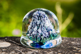 Gumdrop Glass Paperweight the Cremation Ash