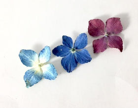 Hydreangea Flower Pendants with Ash