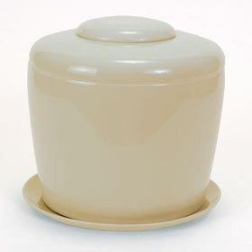 Indoor Living Cremation Urn Plant