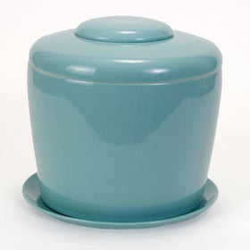 Indoor Living Cremation Urn Plant
