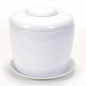 Indoor Living Cremation Urn for Plants