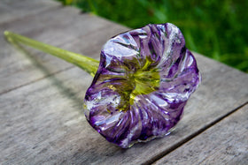 large-straight-stem-memorial-glass-flower-with-cremains-ash-from-people-and-pets