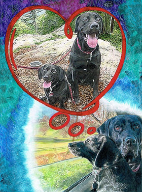 pet portrait