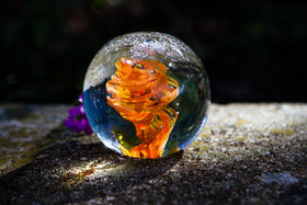 Star Snowfall Orb with Cremation Ash