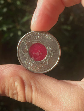Memorial Quarter Coin