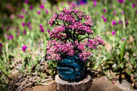 Pink Dogwood Tree of Life and Teal and Turquoise Glimmer Orb