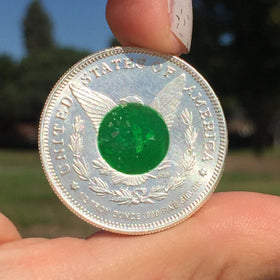 Silver Dollar Memorial Coin