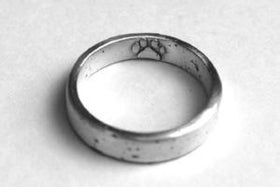 Silver Ring with Infused Cremation Ash for Pet Rememberance