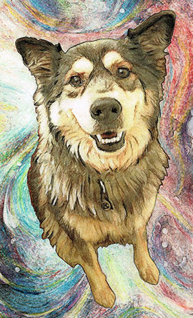 pet portrait