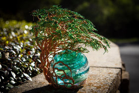 Windswept Tree Of Life  - TREE ONLY
